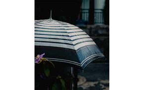 umbrella