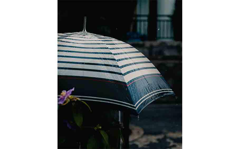 umbrella
