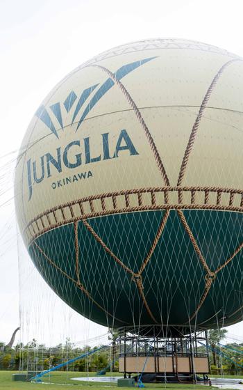 Horizon Ballon