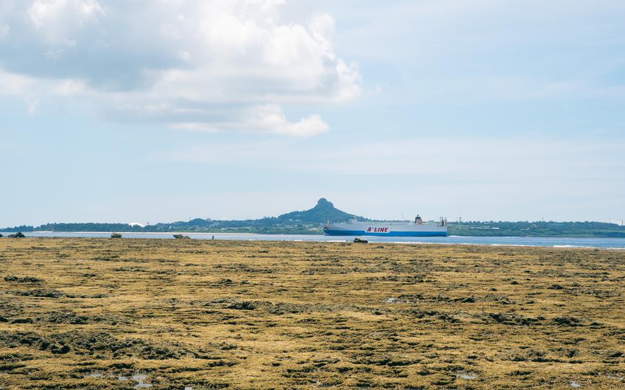 The beach at low tide.