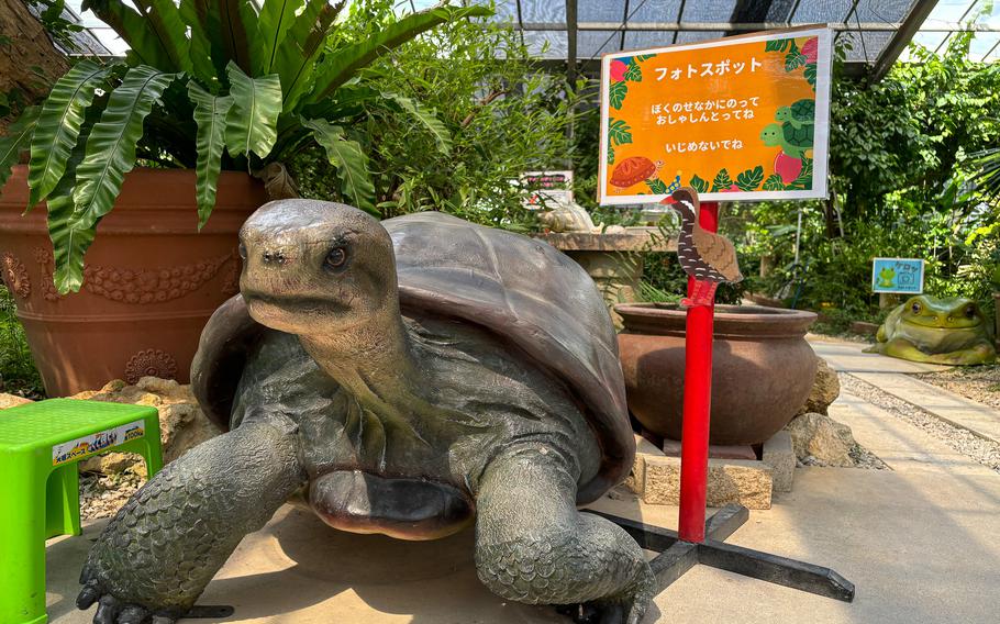 A turtole’s figure is located in a photo spot.