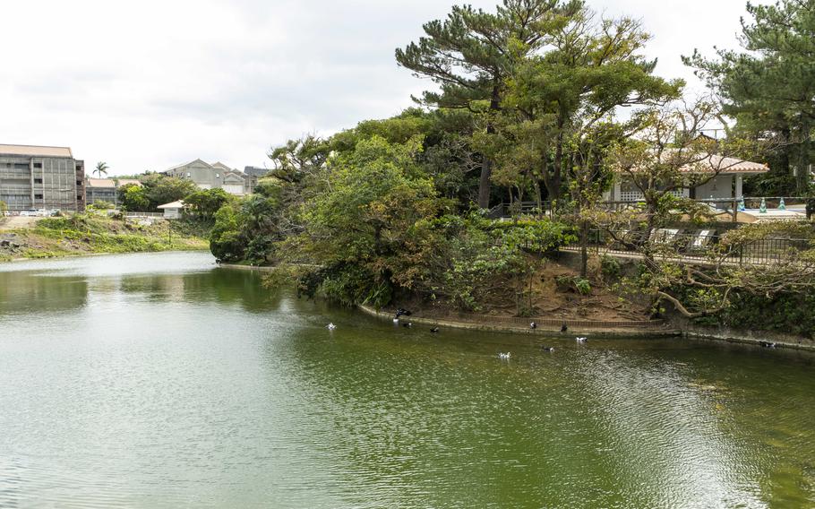 Some birds can be seen in Ryutan Pond.