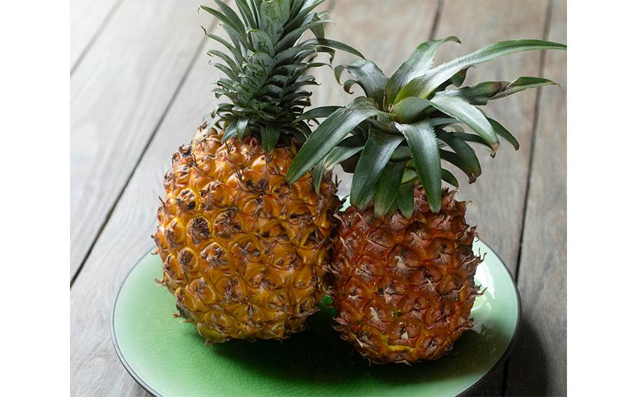 Gold barrel and snack pineapple