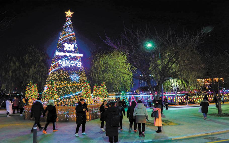 illuminated tree outside in Suseong Light Festival.