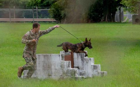 Photo Of U.S. Air Force Staff Sgt. Matthew Burkey guides U.S. Air Force military working dog Rubi.