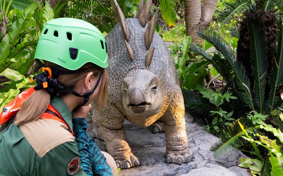 Dinosaur Safari