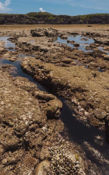 A tidal pool near on the miiugan island.