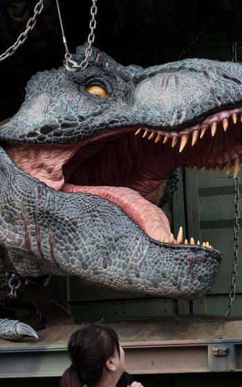 Dinosaur Safari