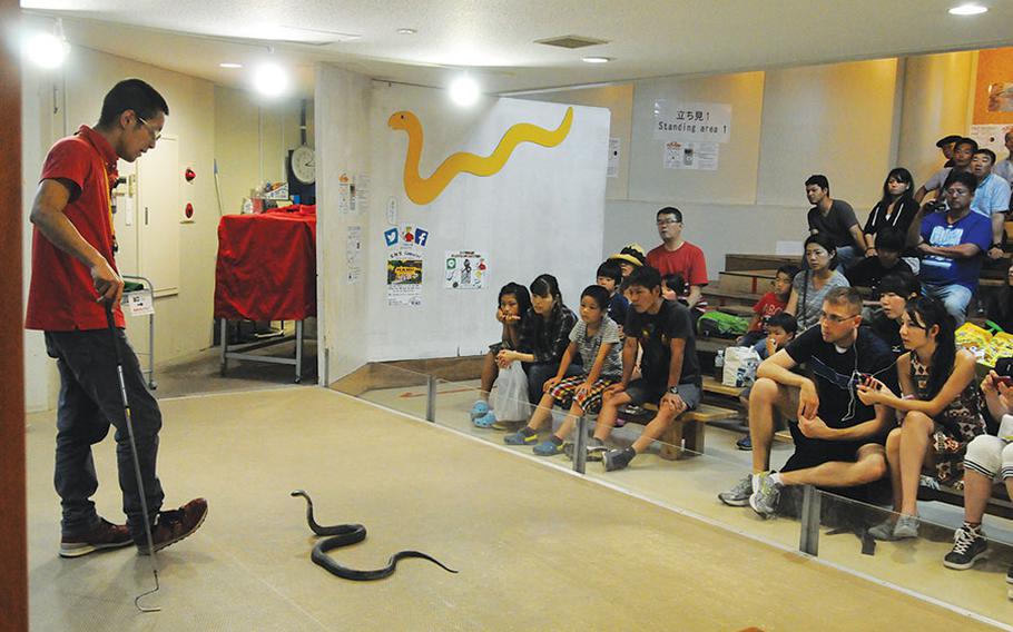 Snake show