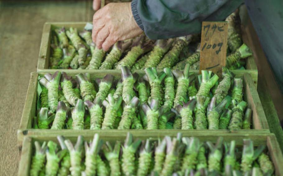 a person is laying out wasabi for sale.