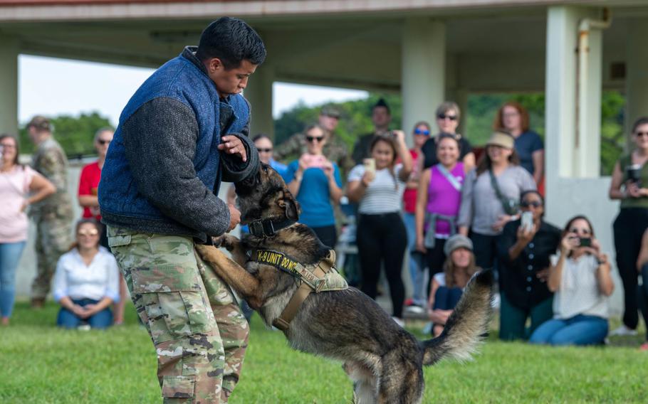 U.S. Air Force photo by Airman 1st Class Edward Yankus