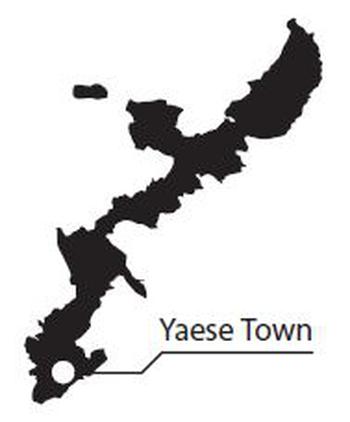 Yaese Town map