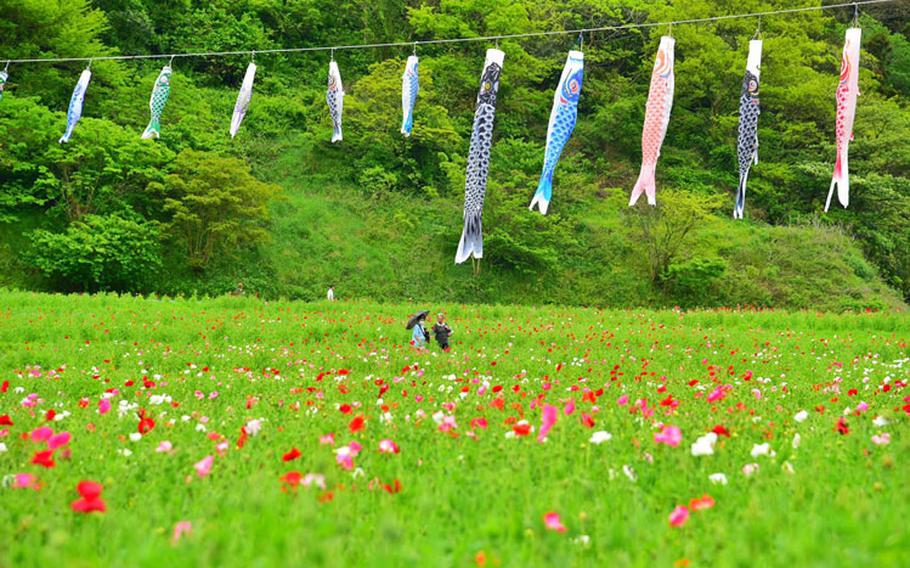 Golden Week in Japan is a string of consecutive holidays in the spring which makes it an extremely popular time for travel and sightseeing. Photo by Takahiro Takiguchi.