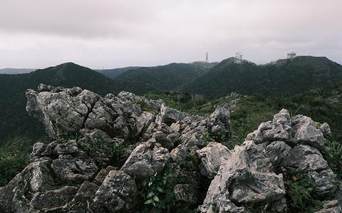 Photo Of Exploring Okinawa: A day of trekking at Mt. Katsuu