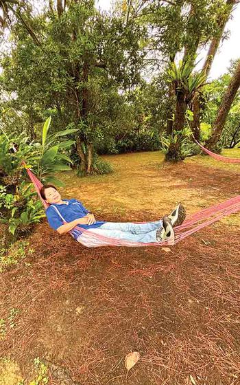 hammock