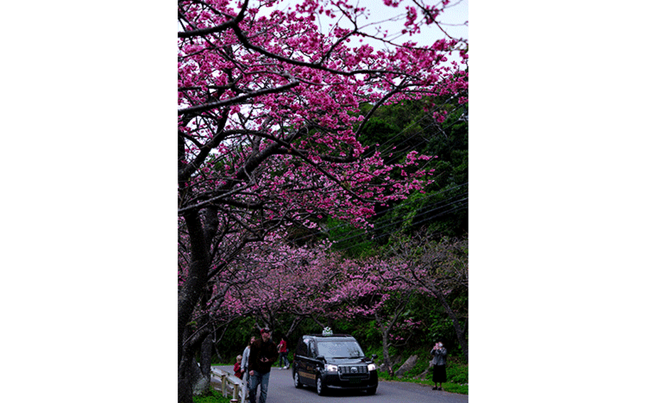 Photo by Shoji Kudaka