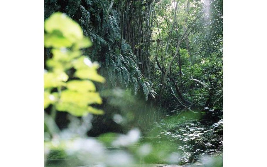 Sefa Utaki is the Okinawan way of acknowledging the "ultimate ancestor"