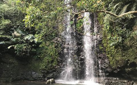 Photo Of VIDEO: Hiking to Okinawa’s scenic Tataki Waterfall